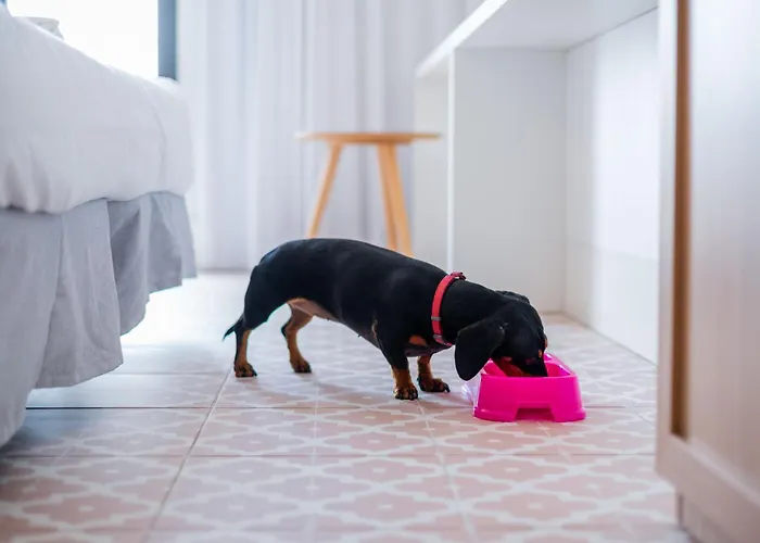 Hotel Neptuno Hotel&spa 4 Sup 4*