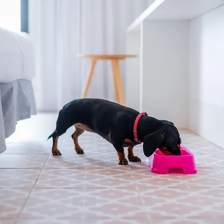 Hotel Neptuno & 4 Sup 4*